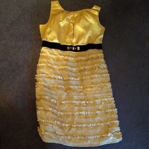 Brand Pretty Size 14 Dress Champagne Black